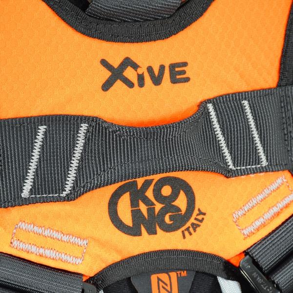 ARNESES KONG X-FIVE– – Ahora disponibles en MTN Shop US.