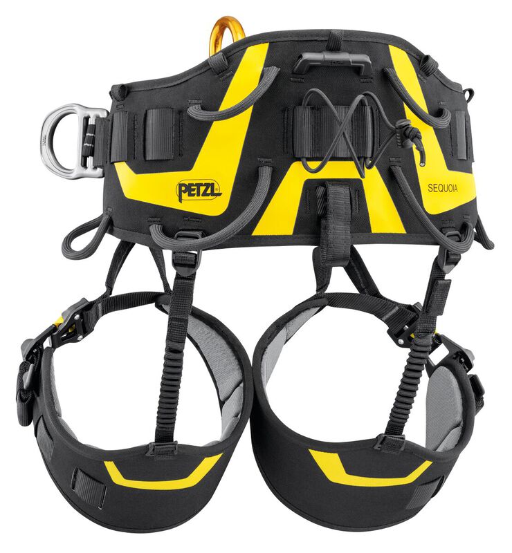 Petzl SEQUOIA tree climbing harness, rear view of waistbelt and leg loops - imagen 2