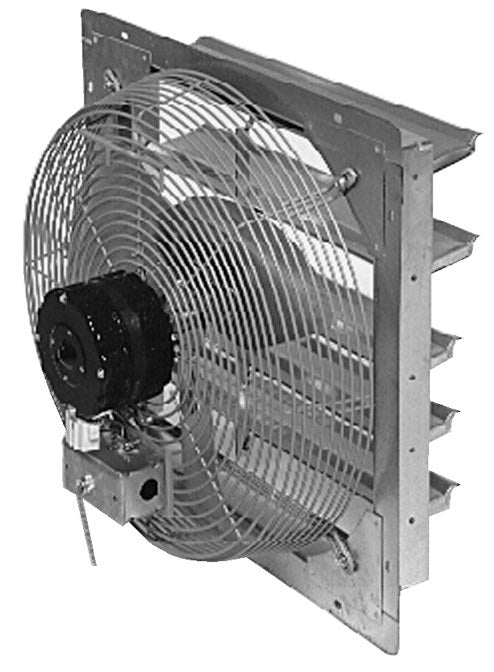 Product primary image