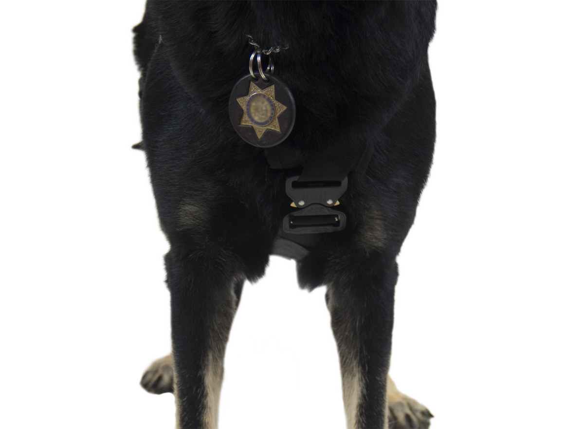 CMC K9 Proseries Rappel Harness, rappel harness for working dogs, detail view - imagen 3