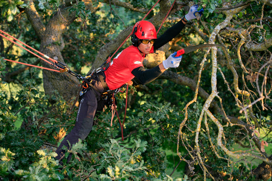 Practice Safety When Climbing to Prevent a Fall