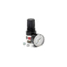Alemite Mini Regulator & Gauge 1– – Now available at MTN Shop US.