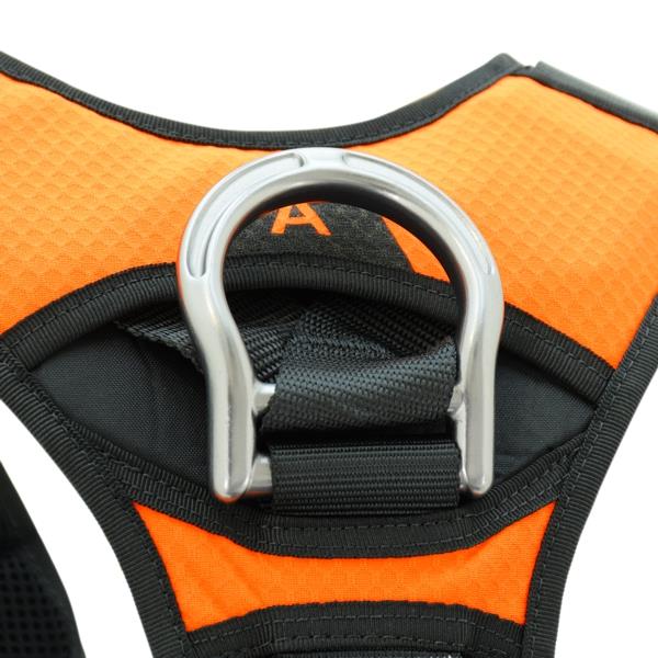 KONG X-FIVE HARNESSES– – Now available at MTN Shop US.