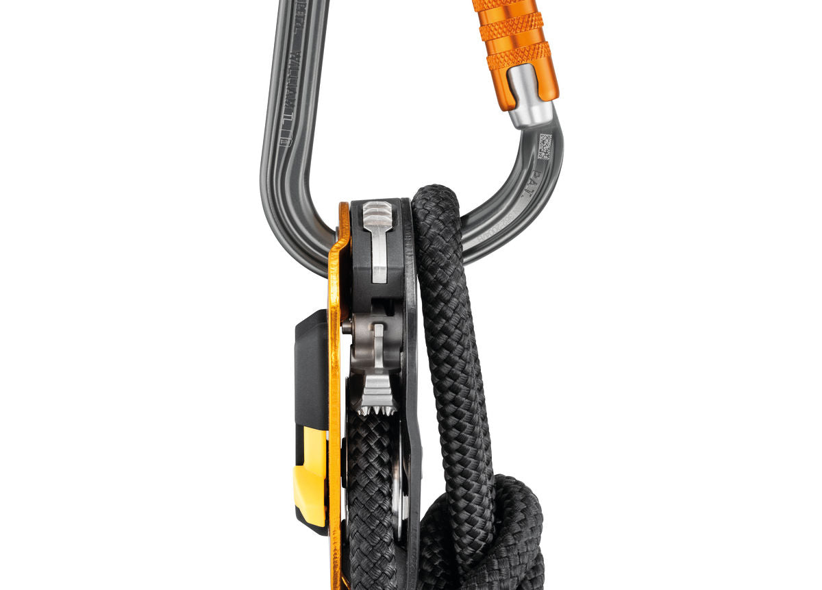 Mosquetón Petzl William - imagen 9