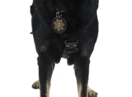 CMC K9 Proseries Rappel Harness, rappel harness for working dogs, detail view - imagen 3
