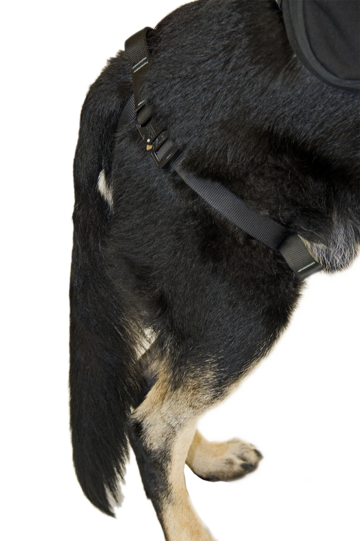 CMC K9 Proseries Rappel Harness, rappel harness for working dogs, side view - imagen 4