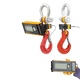 Eilon Engineering Ron Crane Scales™ Ron 2150 Wired Crane Scale with 2"/50mm Attachable Display