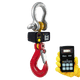 Eilon Engineering Ron Crane Scales™ Ron 2501 Wireless Crane Scale