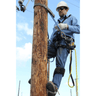 3M™ DBI-SALA® Cynch-Lok™ Replacement Interior Strap, Rope - Utility Use