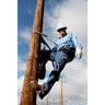 3M™ DBI-SALA® Cynch-Lok™ Pole Climbing Device, Web - Utilities Application