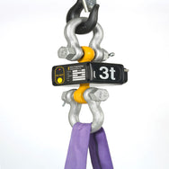 Eilon Engineering Ron StageMaster™ Wireless Classic Load Cell– – Now available at MTN Shop US. - imagen 2