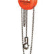 CM Cyclone Hand Chain Hoist