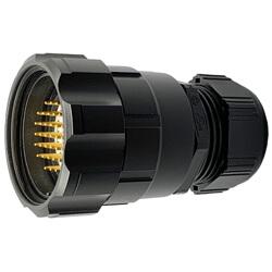 Ceep Connector- 12 Channel Audio